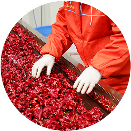 辣椒醬代加工廠(chǎng)家-青島大豐食品